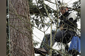 Treetop Cat Rescue, Season 1: Kitty, Can You Hear Me?