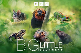 Big Little Journeys: Episode 1