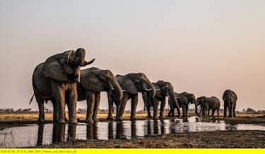 13:20: Naturwunder Okawango (3/3) | 3SAT | 8/16 2026