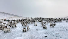 Mongolei, immer auf Achse