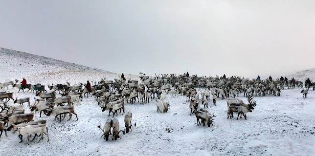05:00: Mongolei, immer auf Achse | Arte | 11/5 2025