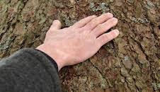 Menschen mit Gespür für Holz