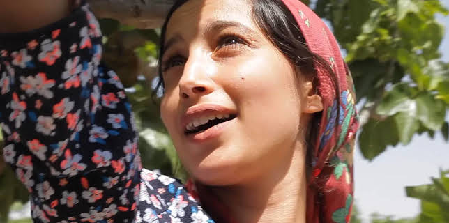 Under the Fig Trees (2023)