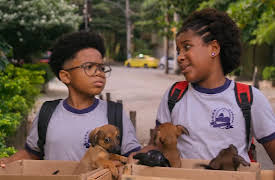 Every Family: Every Family Has: Dreams