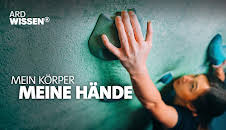 Mein Körper. Meine Hände. Wie sie unser Gehirn trainieren