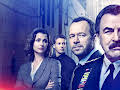 Blue Bloods