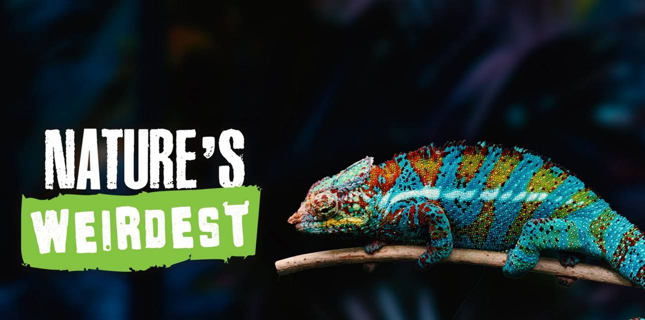 Nature’s Weirdest (2021)