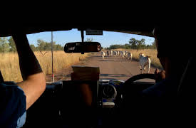 Garda Down Under: Deadly Consequences