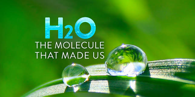 H2O: The Molecule That Made Us: Season 1