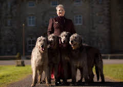 The Traitors Ireland