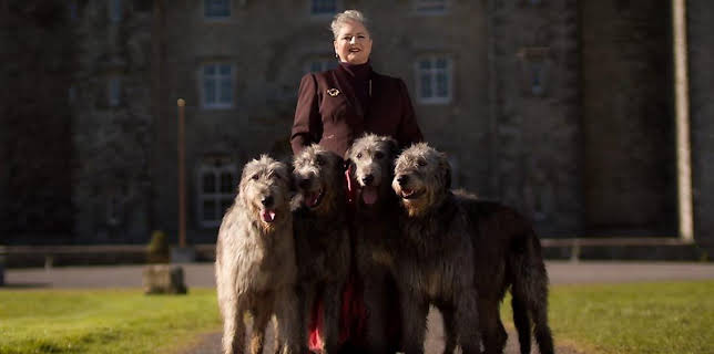 12:05 AM: The Traitors Ireland (S1 E1) (S1) | BBC One | 1/24 2026