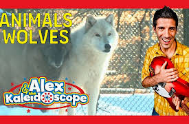 Alex & The Kaleidoscope: ANIMALS - WOLVES