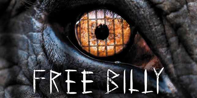Free Billy (2021)