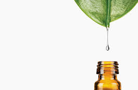 Real Immunity: Quest for Real Immunity: Our Fear of Germs