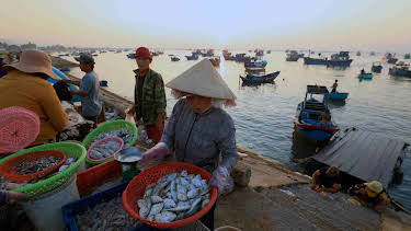 09:50: Traumorte - Süd-Vietnam | ZDFinfo | 4/17 2026