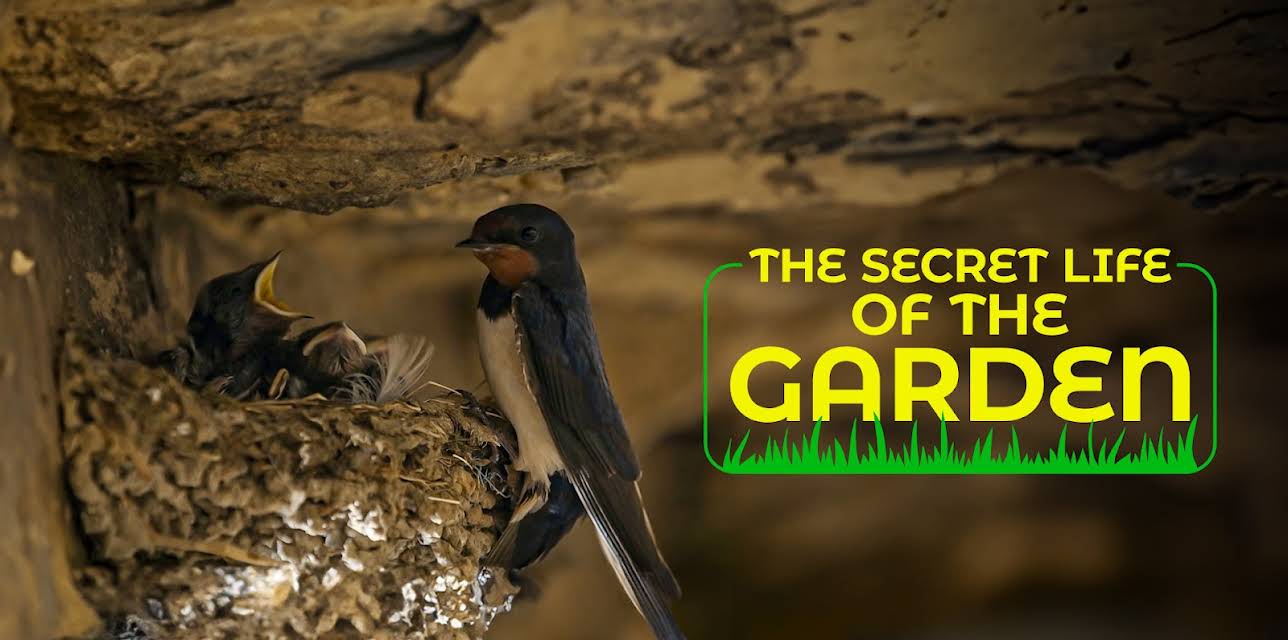 The Secret Life of the Garden (2024)
