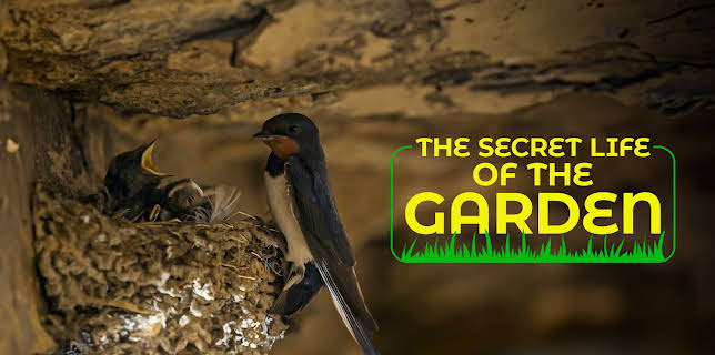 The Secret Life of the Garden (2024)