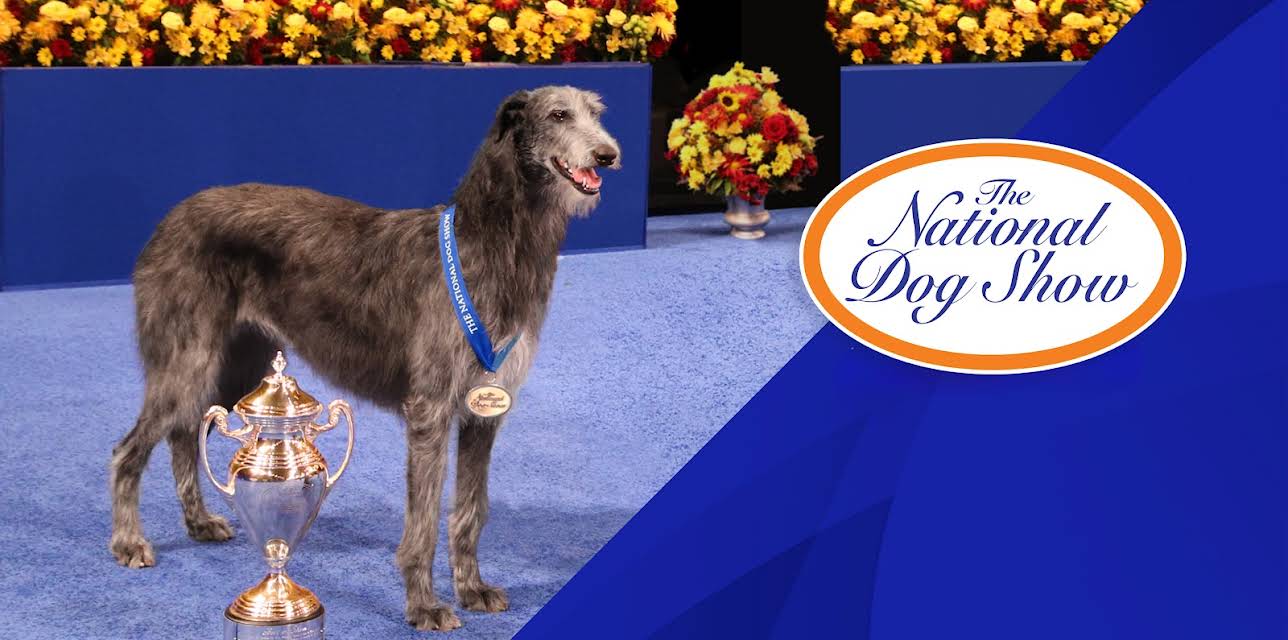 The National Dog Show (2021) (2026)