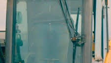 La fiebre del oro: Gran pelea de gatos