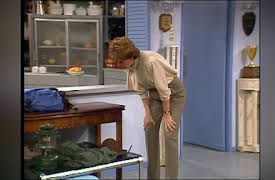 Webster, Season One: Teddy Bear Scare