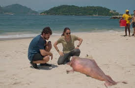 Osynlig stad: Jag önskar att du var här