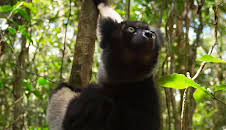 Planet Earth (S2 E3)