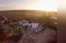 Taste Hunters: Portugal