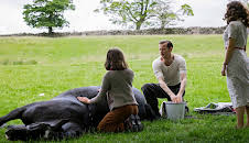 Der Doktor und das liebe Vieh (S02/E06)