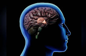 Language and the Mind: Language in Mind