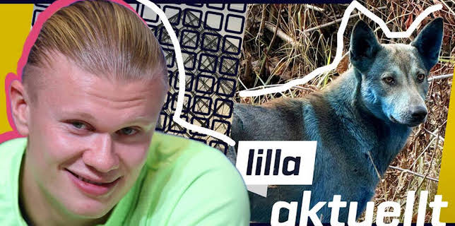 14:25: Lilla Aktuellt skola | Barnkanalen | 11/14 2025