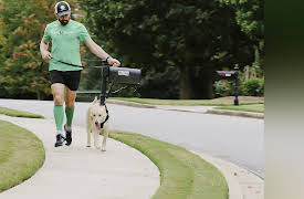 Road to Puppy Bowl: Doggie Dash