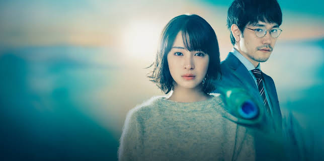 Who Saw the Peacock Dance in the Jungle?