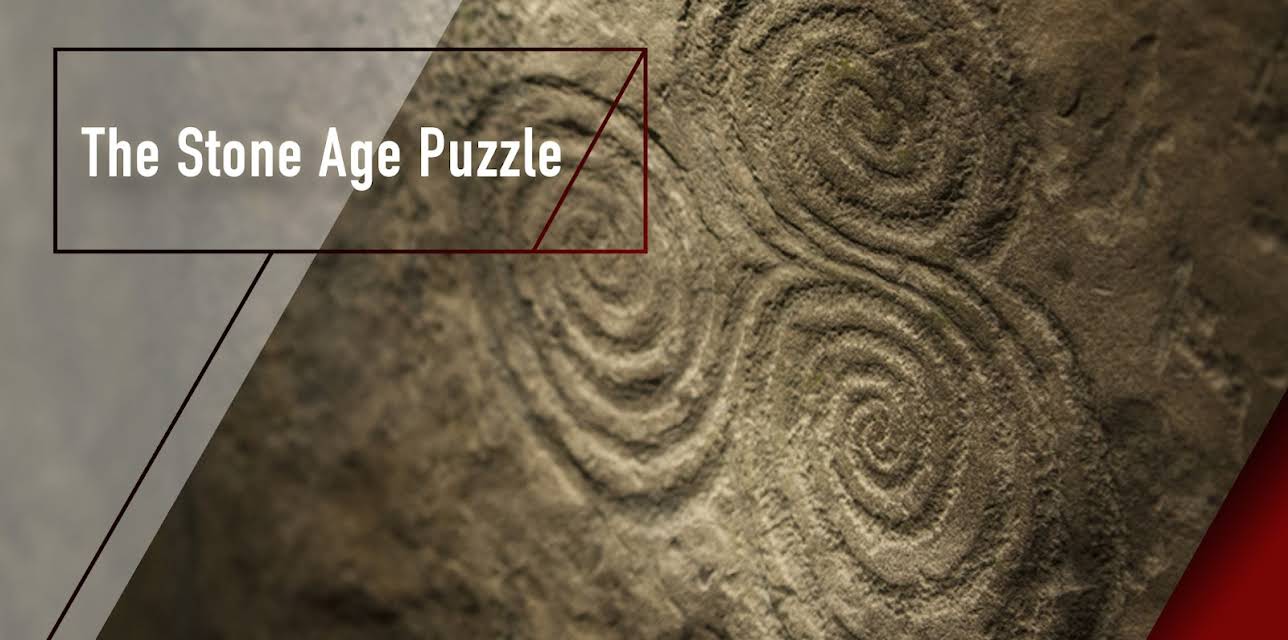 The Stone Age Puzzle (2013)
