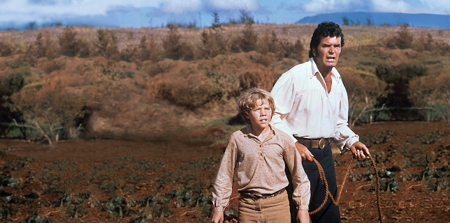 The Castaway Cowboy (1974)