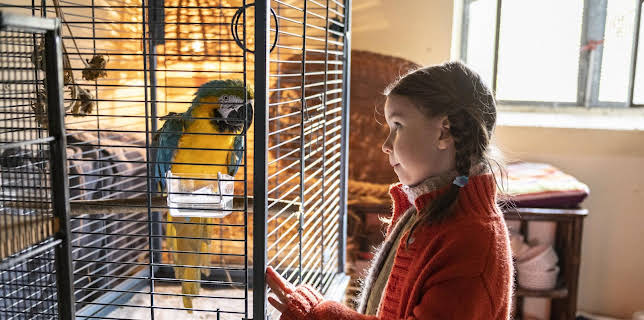 00:20: Kommt ein Vogel geflogen | SR Fernsehen | 1/17 2026