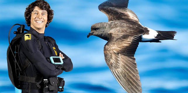 12:10 PM: Andy's Aquatic Adventures (S2) | Cbeebies | 11/22 2025