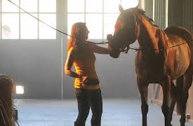 Southern Fried Homicide: Episode 7