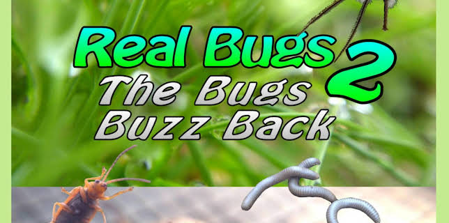 Real Bugs 2: The Bugs Buzz Back (2019)