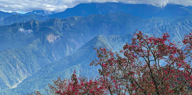 5:00 PM: World's Most Scenic Railway Journeys (S4 E2) (S4) | 5 Select | 11/10 2025