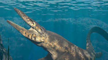 16:35: The Proof is Out There - Auf den Spuren des Unerklärlichen | Kabel Eins Doku | 3/29 2026