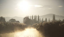 Bodensee - Wildnis am großen Wasser