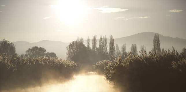 02:50: Bodensee - Wildnis am großen Wasser | 3SAT | 3/17 2026