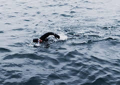 New: The Great Icelandic Swim...