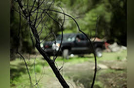 Cajun Justice Season 1: Catfish and Gators