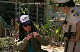 Reno 911! Season 1: Clementine's Pregnant