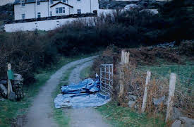 Sophie: Mordet i West Cork: Den misstänkte