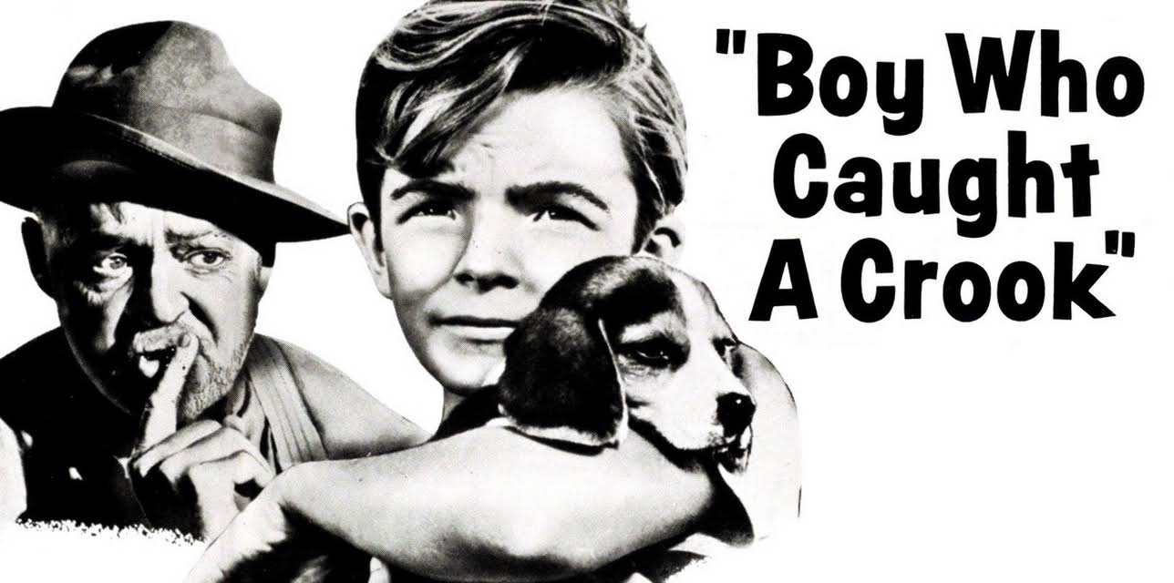 Boy Who Caught A Crook (1961)