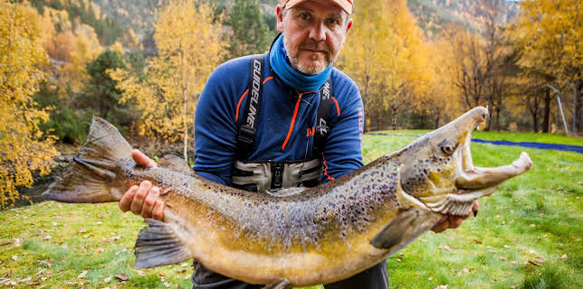 13:40: Den fantastiske villaksen | NRK 2 | 11/18 2025