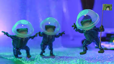 1:55 PM: Froglets (S1) | Cbeebies | 6/28 2026