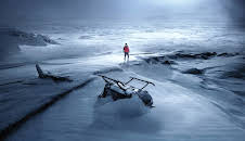 Arctic